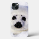 Search for seal cases Snow