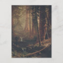 Search for giant tree postcards Landscape