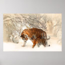 Search for beautiful winter posters Tiger