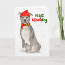Search for pitbull christmas cards Funny