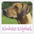 Search for rhodesian stickers Puppy