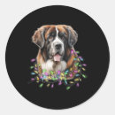 Search for saint bernards stickers Funny christmas
