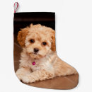 Search for poodle christmas stockings Pets