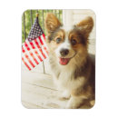 Search for corgis magnets Canine