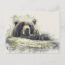 Search for watercolor bear postcards Wildlife