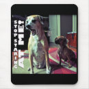 Search for staring mouse mats Humour