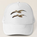 Search for flying bird hats Nature