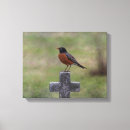Search for robin wood posters Animal