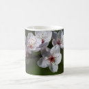 Search for plum blossom mugs Flower