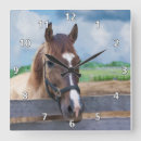 Search for halter Horses