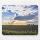 Search for background horizontal standard mouse mats Photography