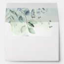 Search for eucalyptus envelopes Green eucalyptus foliage