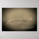 Search for squid posters Tentacles
