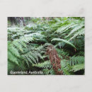 Search for aussie photography Travel