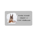 Search for postcards return address labels Letter