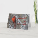 Search for red cardinal birthday cards Snow