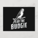 Search for budgie parakeet postcards Pet