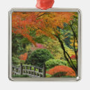Search for portland oregon christmas tree decorations Japanese