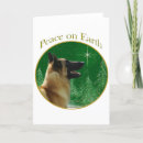 Search for malinois postcards Belgian