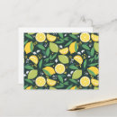 Search for lemon slice postcards Citrus