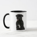 Search for pug mugs Studio shot