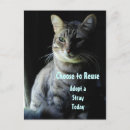 Search for adopt postcards Rescue