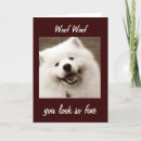 Search for samoyed birthday cards Adult