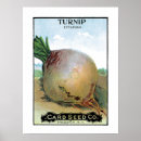 Search for turnip art Vegetable