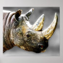 Search for rhinoceroses art Rhinos