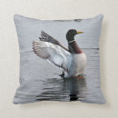 Search for blue duck cushions Water