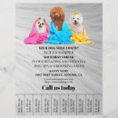 Search for dog grooming flyers Promotional