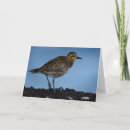 Search for migration cards Wildlife