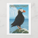 Search for tuft postcards Puffin