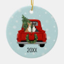Search for basenji christmas tree decorations Dog