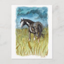 Search for hunter jumper postcards Pony