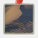 Search for bared christmas tree decorations Outdoors