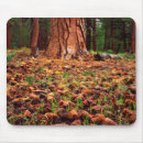 Search for growth mouse mats Blue