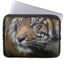 Search for sumatran cases Big cats