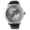 Search for puffin watches Atlantic