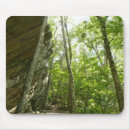 Search for rock mouse mats Photography