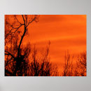 Search for red sunrise posters Pretty