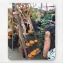 Search for squash electronics Garden