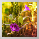Search for glory posters Floral
