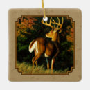Search for deer antlers christmas tree decorations Wildlife