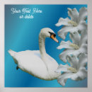 Search for swan posters Animal