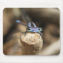 Search for damselfly mouse mats Dragonflies