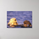 Search for sea otter canvas prints Nature