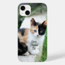 Search for cat cases Humor