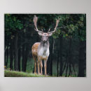 Search for fallow posters Spots