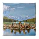 Search for statues tiles Sky